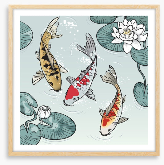 Kawaii koi fish