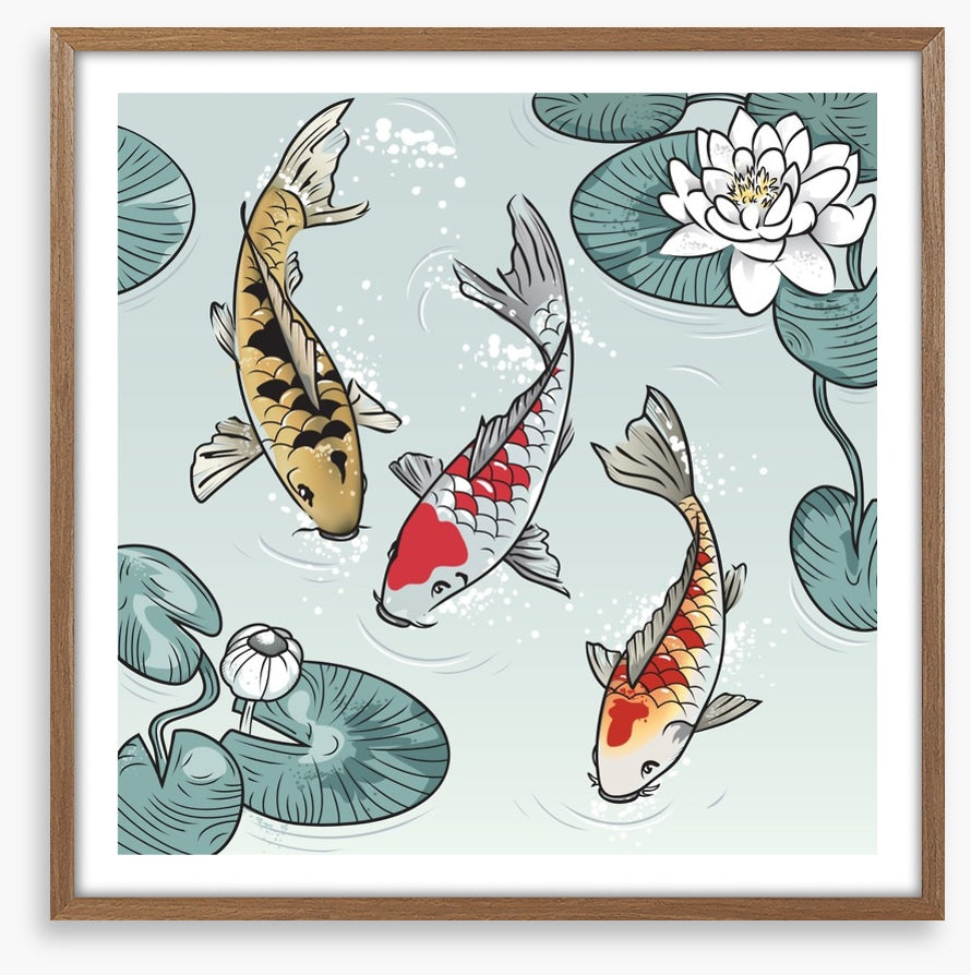 Kawaii koi fish