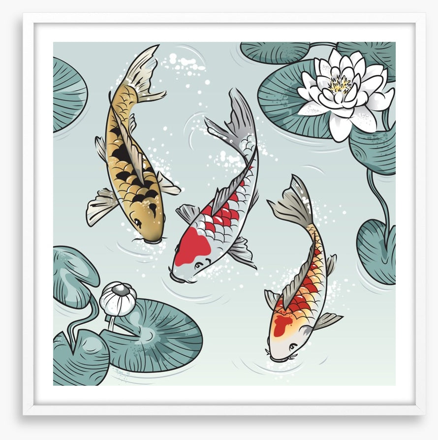 Kawaii koi fish