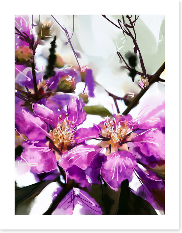 Purple petals