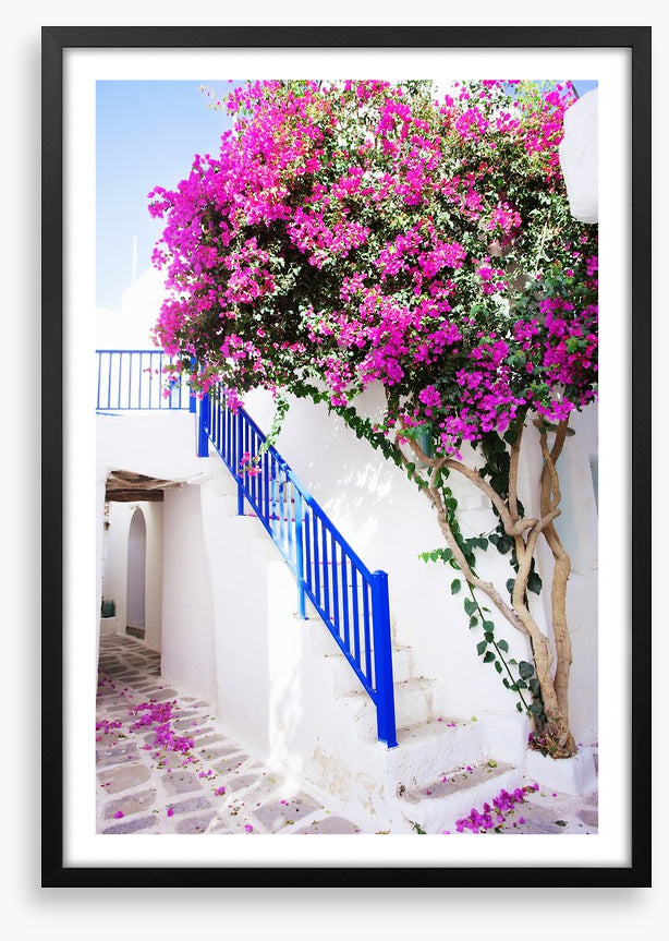 Petals on Paros Island