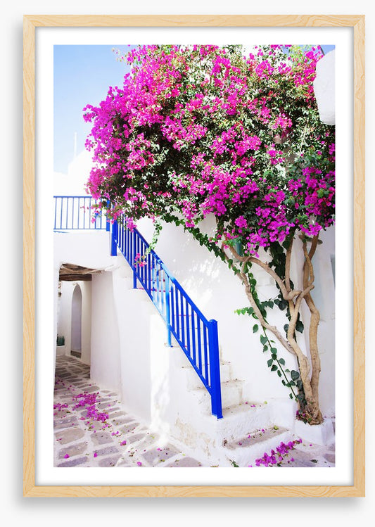 Petals on Paros Island