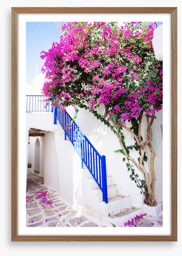 Petals on Paros Island