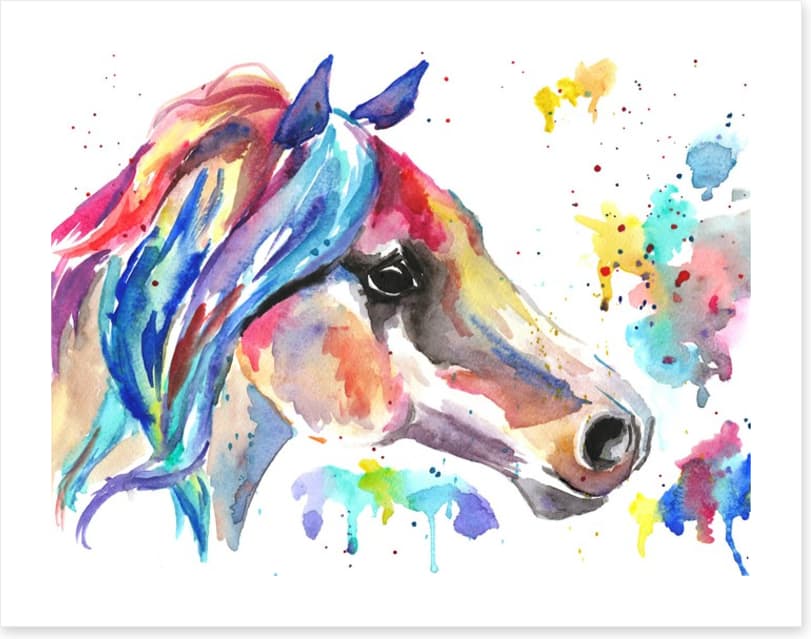 Stallion splash
