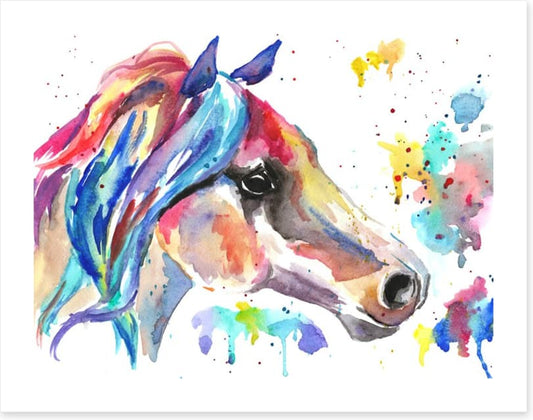 Stallion splash