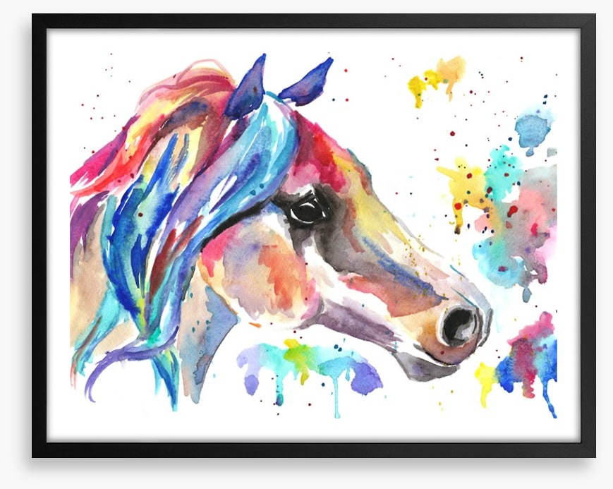 Stallion splash