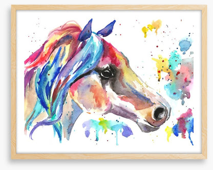 Stallion splash