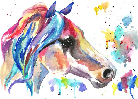 Stallion splash
