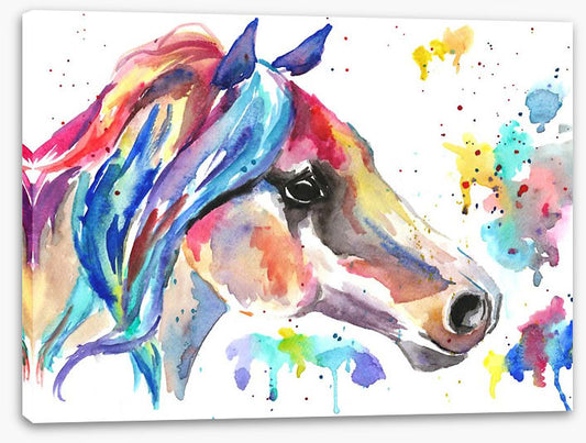 Stallion splash