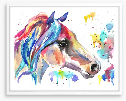 Stallion splash