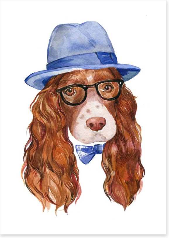 Spaniel of style