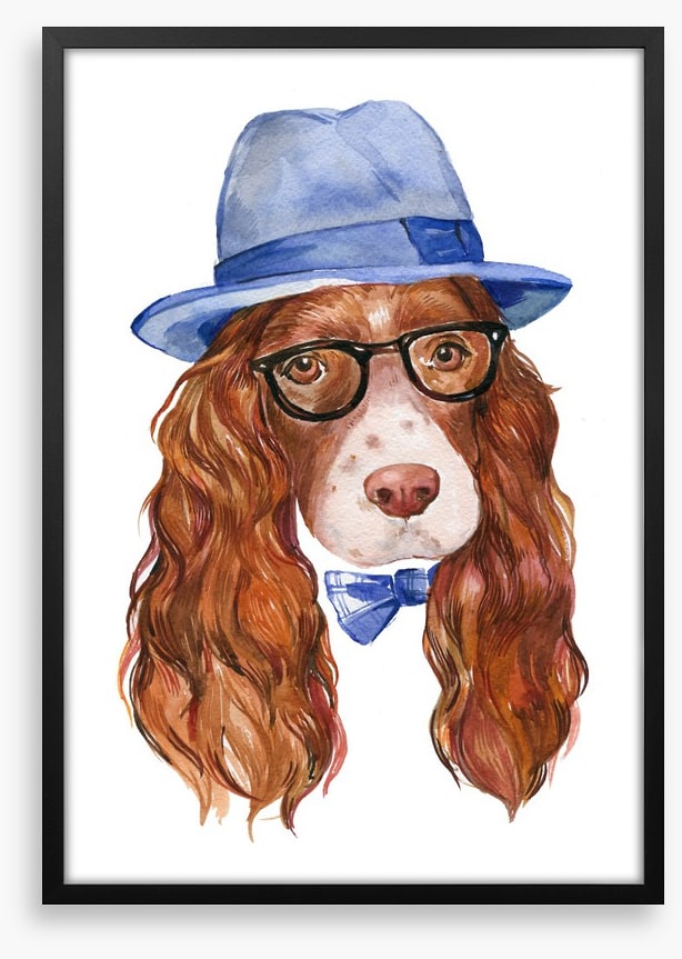 Spaniel of style