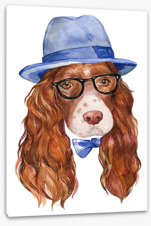 Spaniel of style