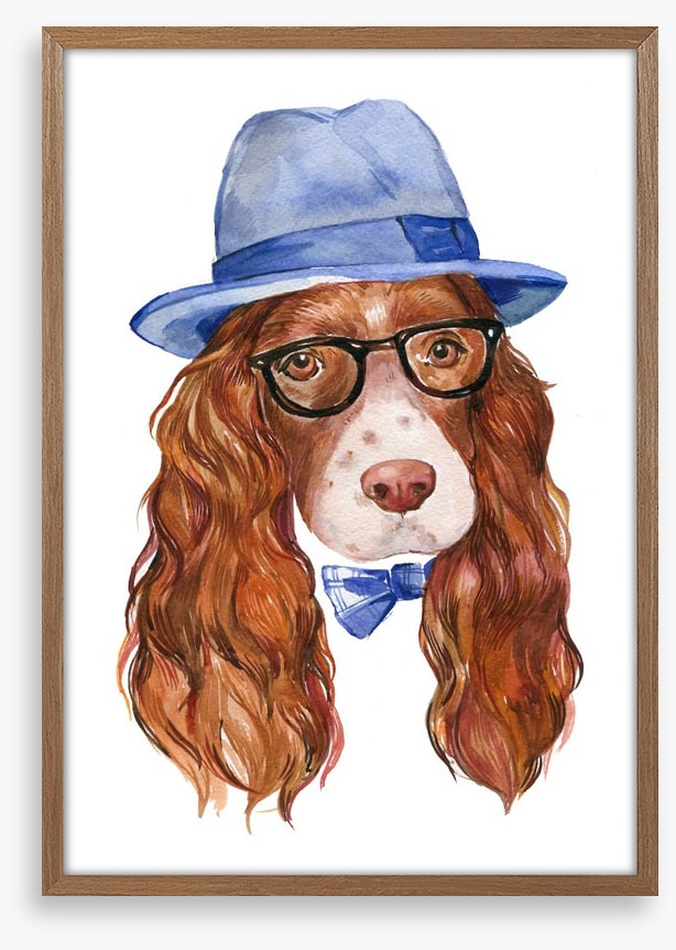 Spaniel of style