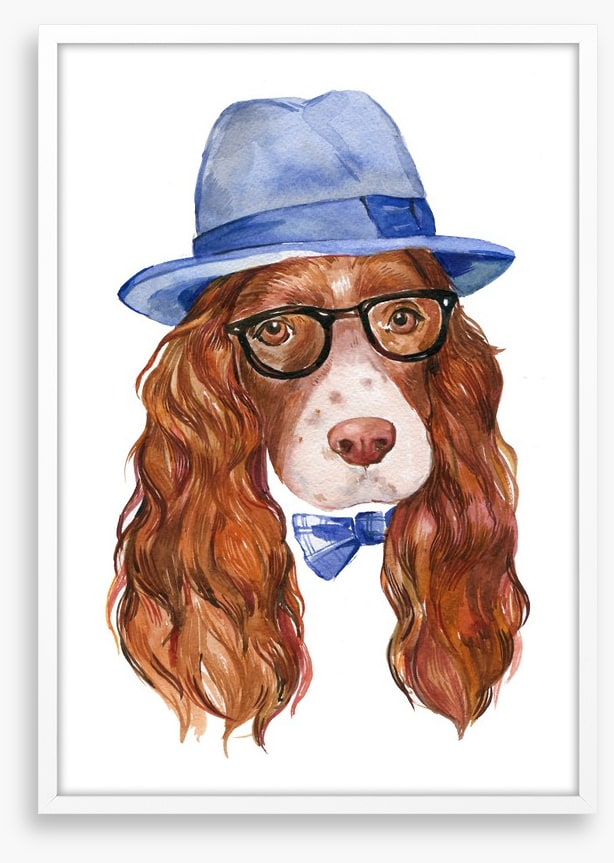 Spaniel of style