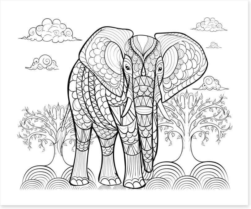 Colour me indian elephant