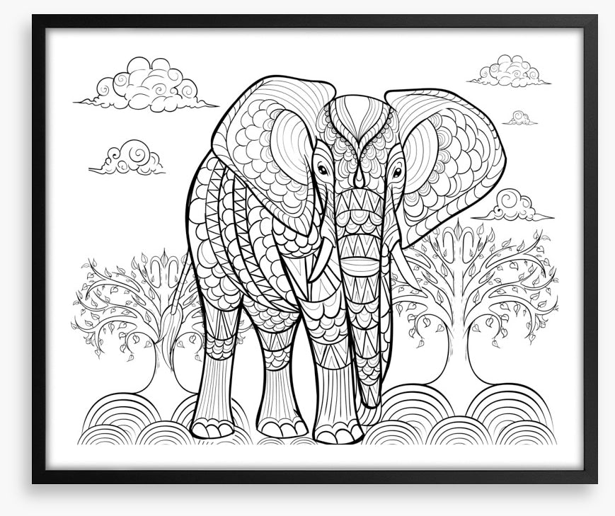 Colour me indian elephant
