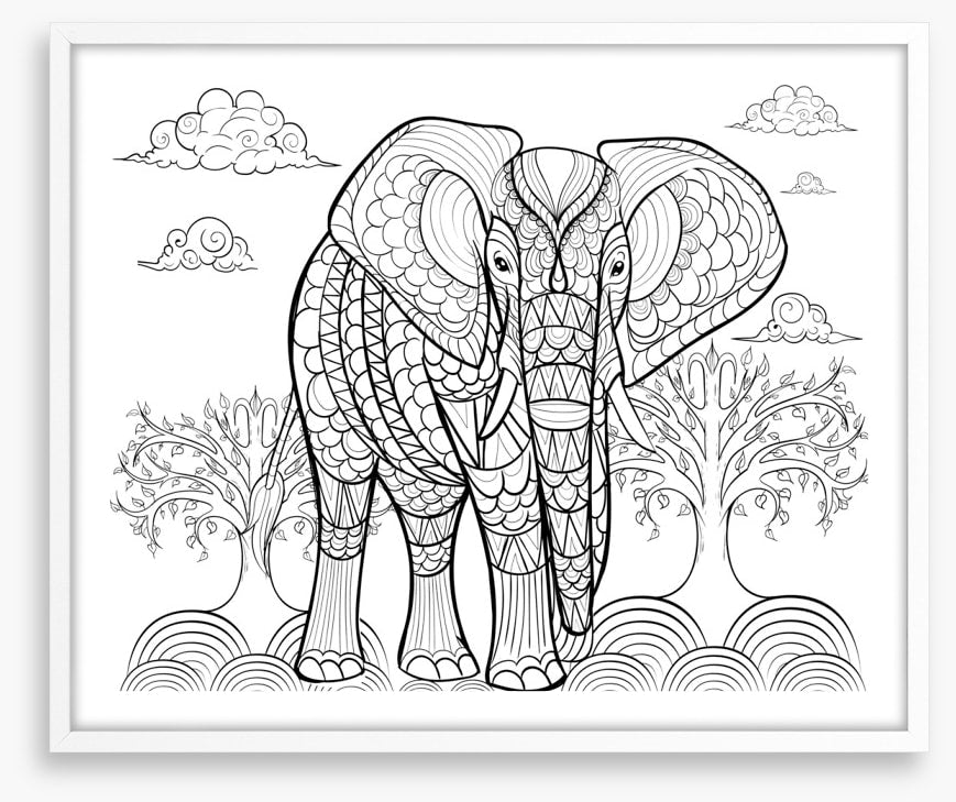 Colour me indian elephant