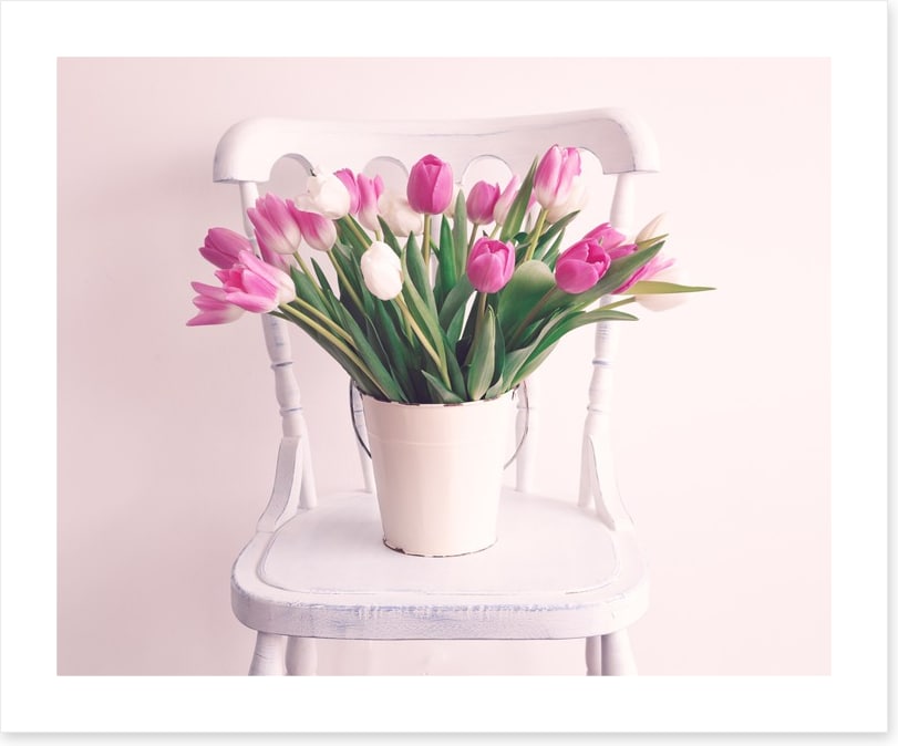 The tulip chair