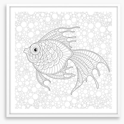 Colour me fishy