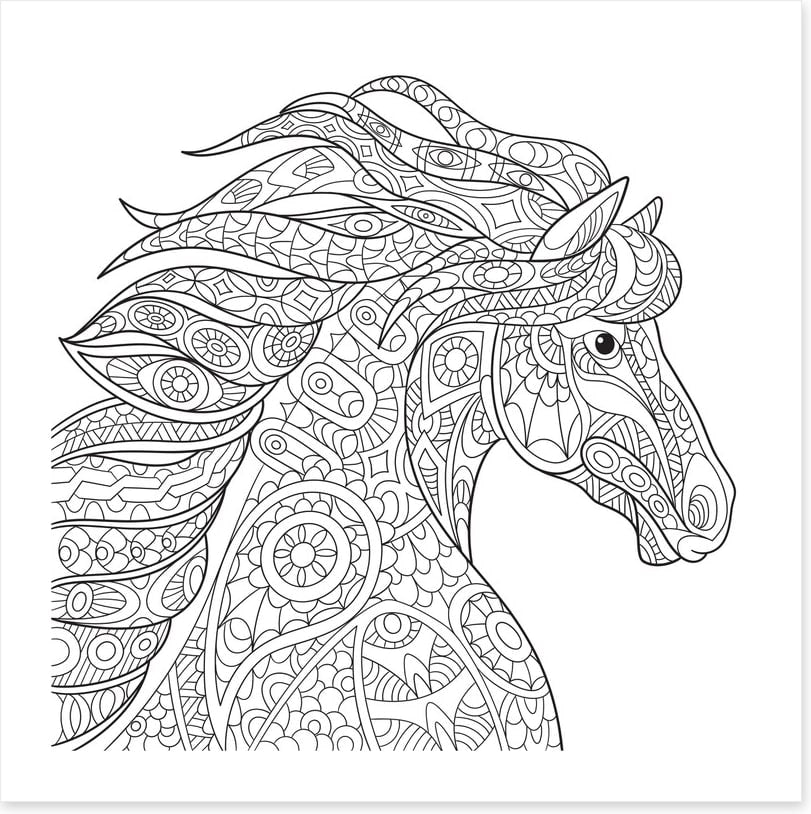 Colour me filly