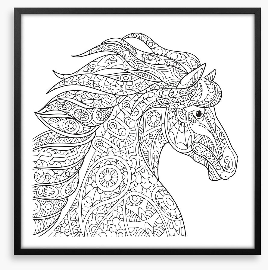 Colour me filly