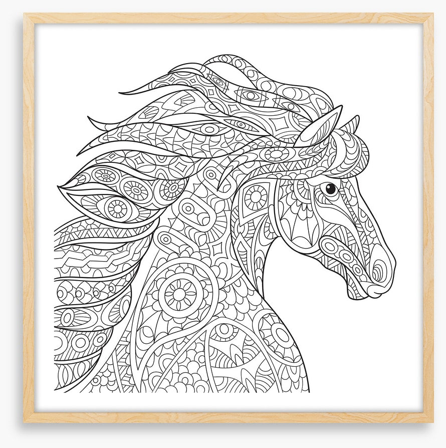 Colour me filly