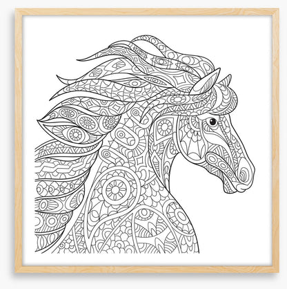 Colour me filly