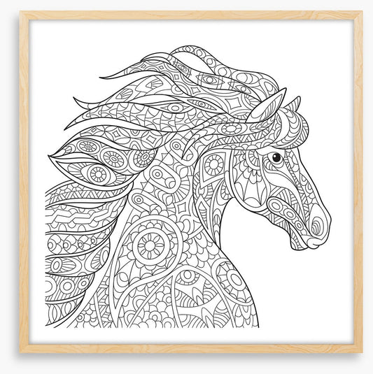 Colour me filly