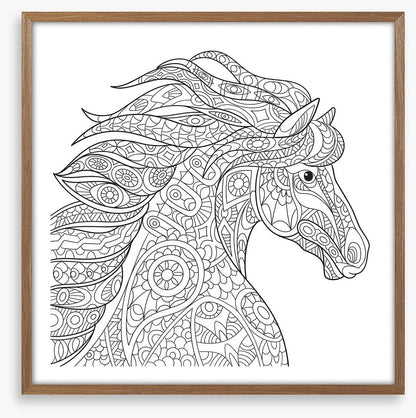 Colour me filly