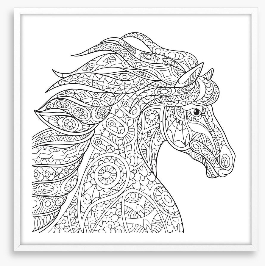 Colour me filly