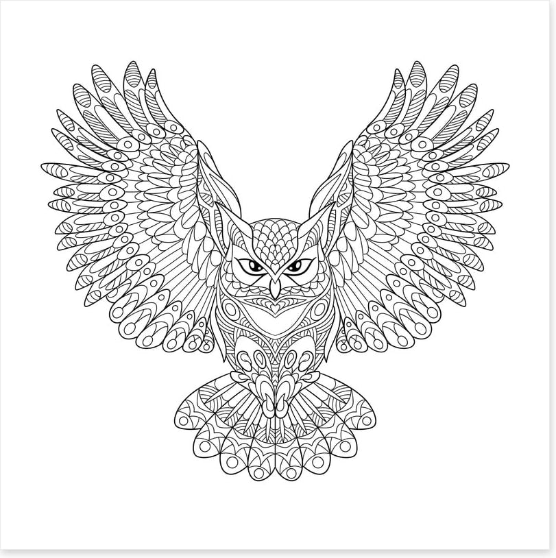 Colour me wings