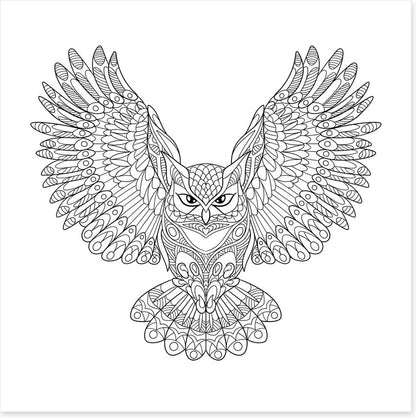 Colour me wings