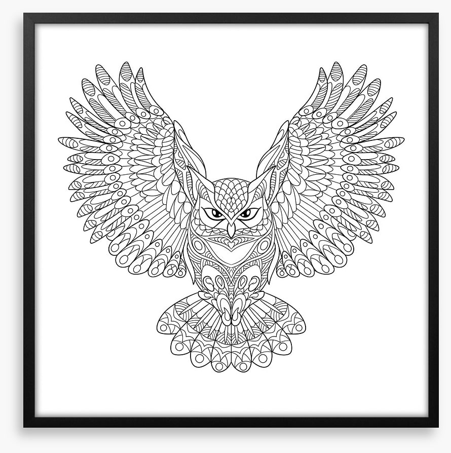 Colour me wings