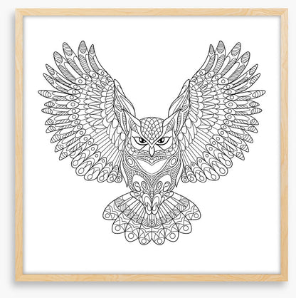 Colour me wings