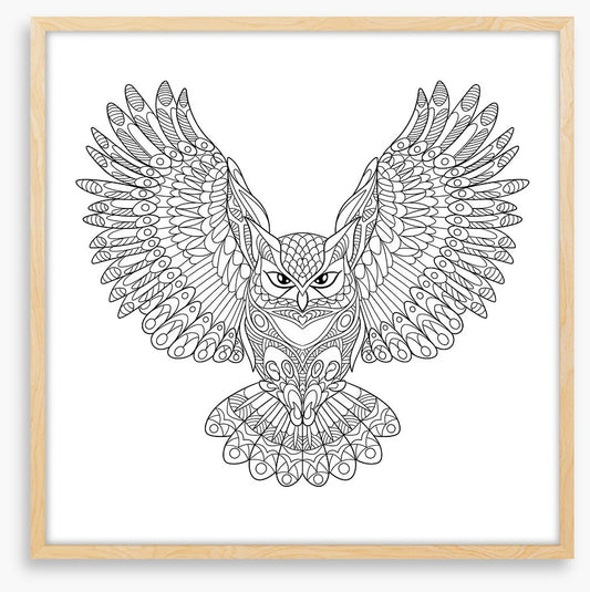 Colour me wings