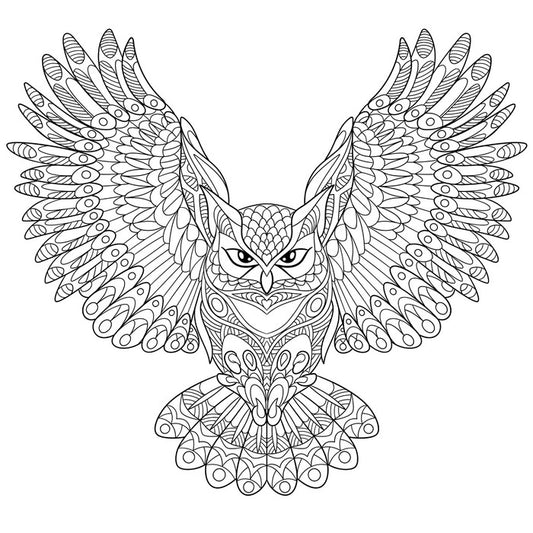 Colour me wings