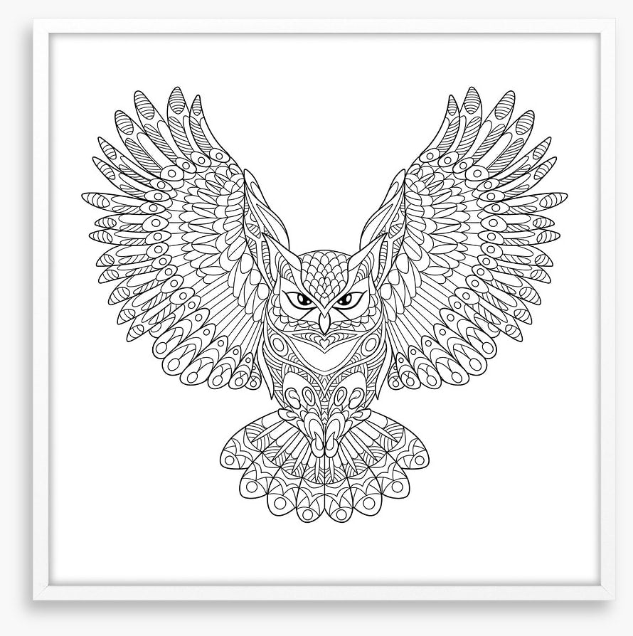 Colour me wings