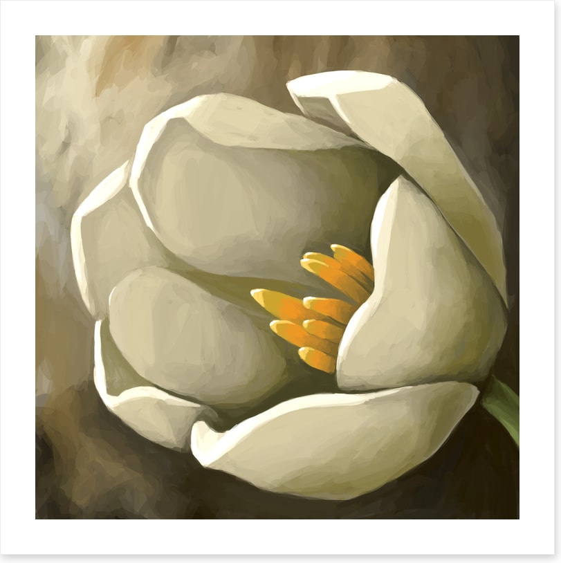 Tulip treat