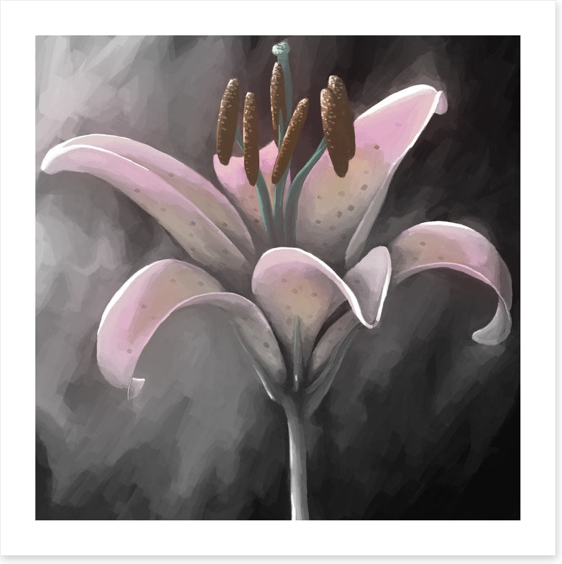 Lily delight