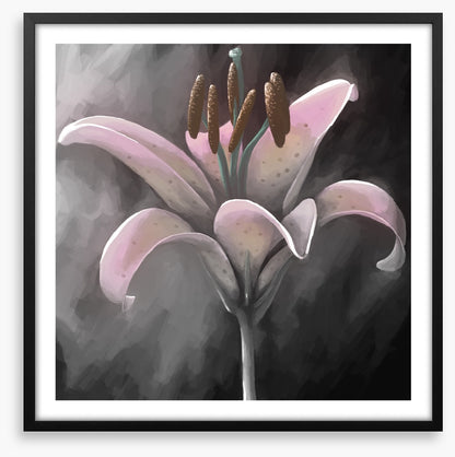 Lily delight