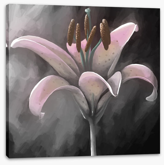 Lily delight