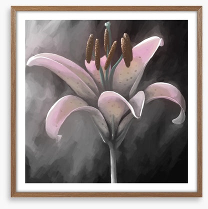 Lily delight
