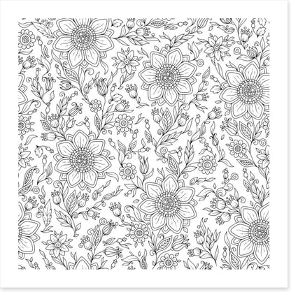 Colour me summer garden