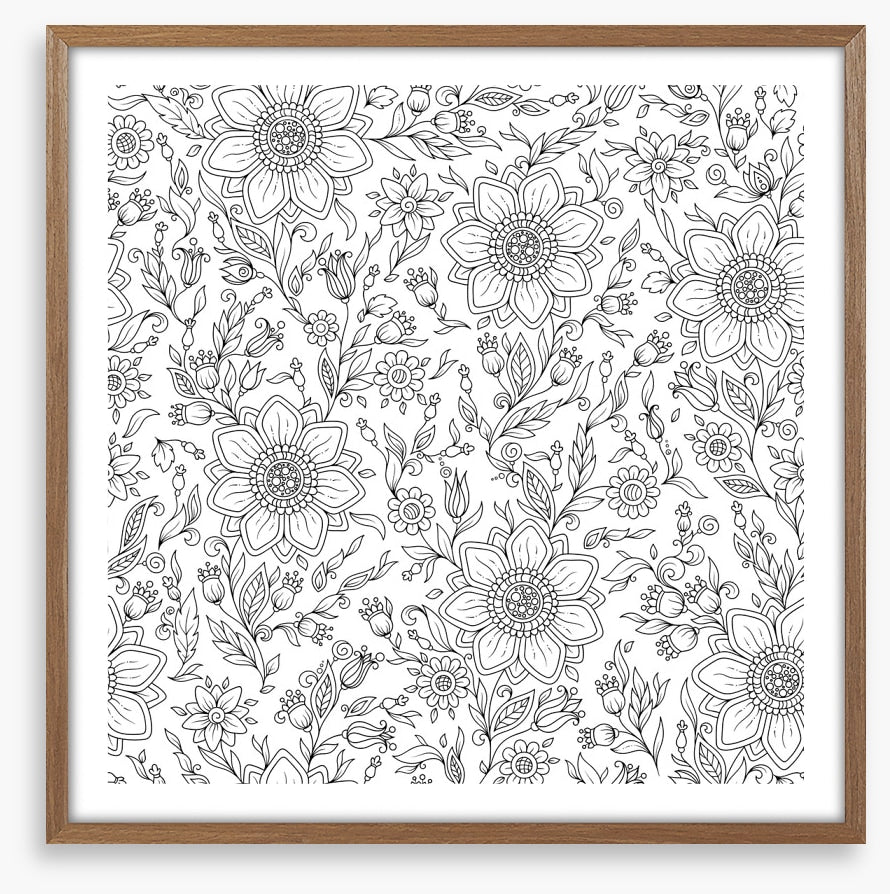 Colour me summer garden