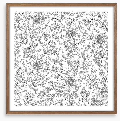 Colour me summer garden