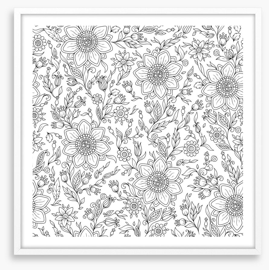 Colour me summer garden