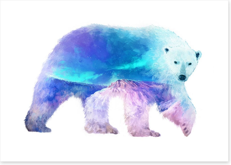 Polar aurora