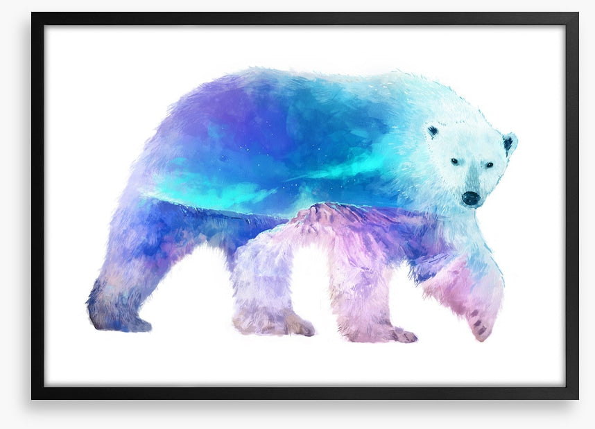 Polar aurora
