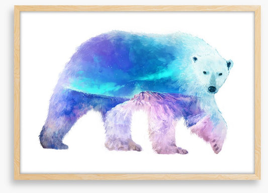 Polar aurora